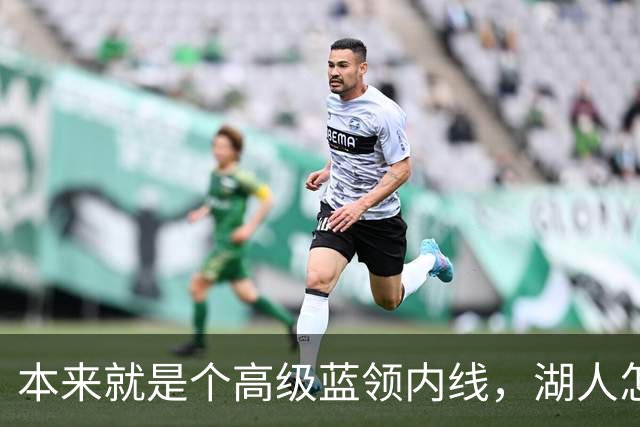 本来就是个高级蓝领内线，湖人怎么能指望他做到面面俱到？